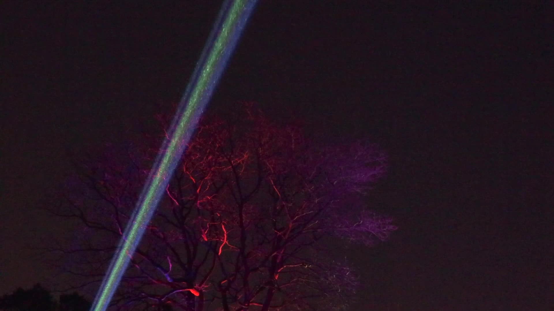 NYC: Brooklyn Botanical Garden Lightscape Show