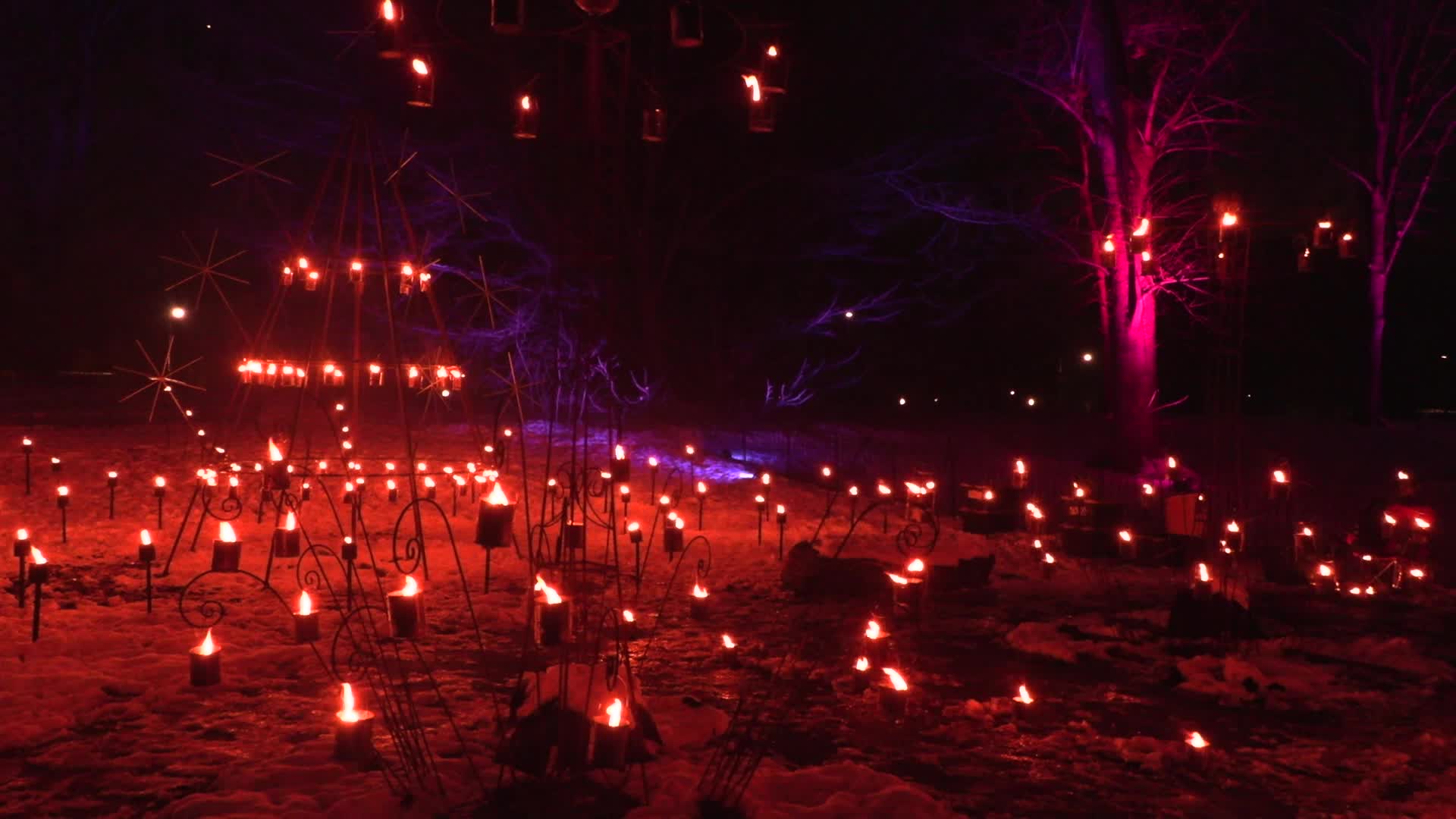 NYC: Brooklyn Botanical Garden Lightscape Show