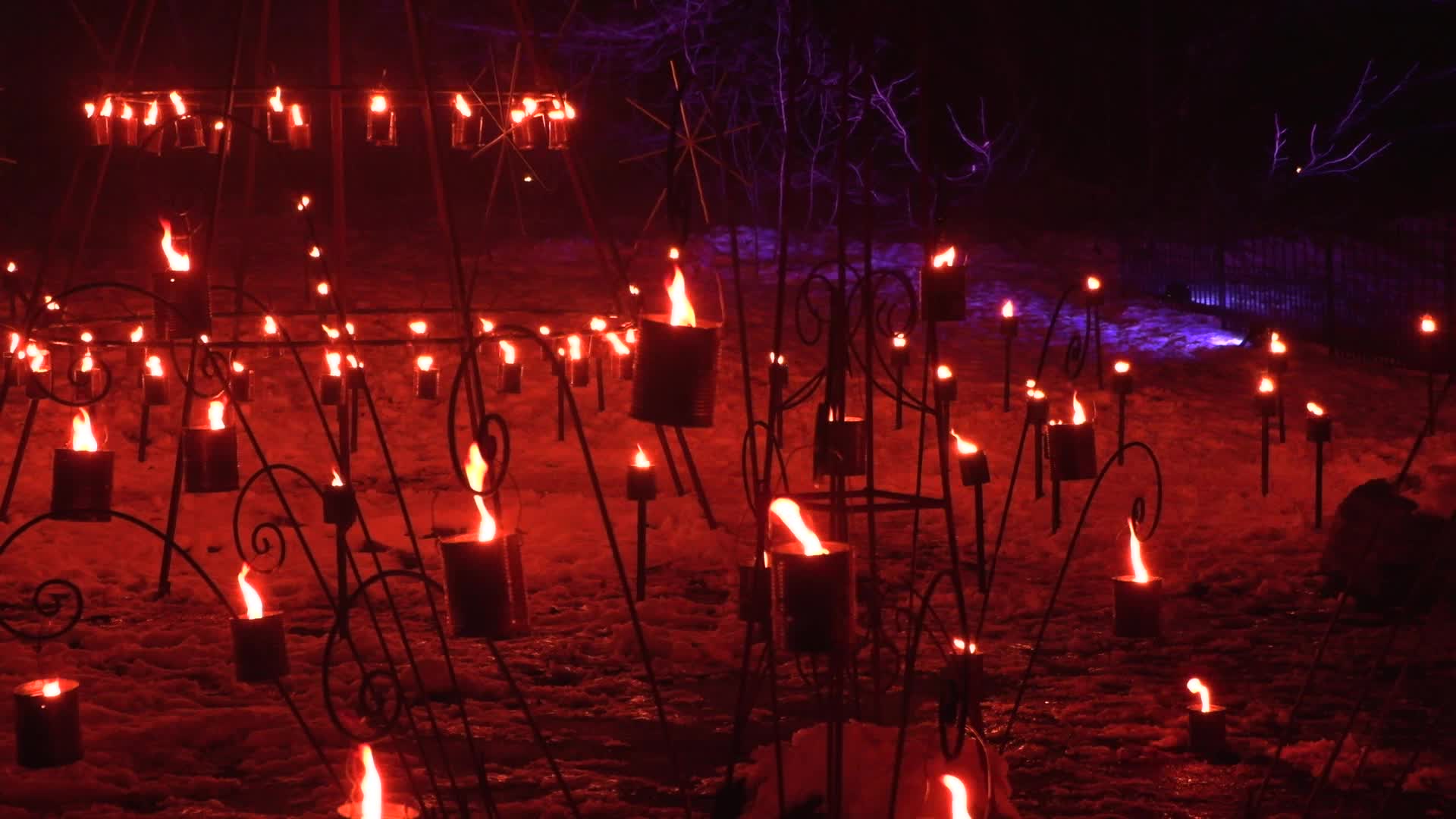 NYC: Brooklyn Botanical Garden Lightscape Show