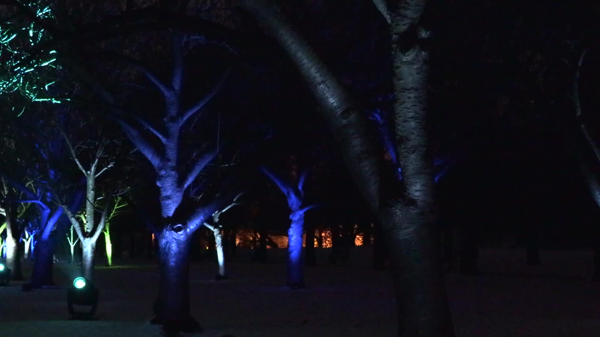 NYC: Brooklyn Botanical Garden Lightscape Show