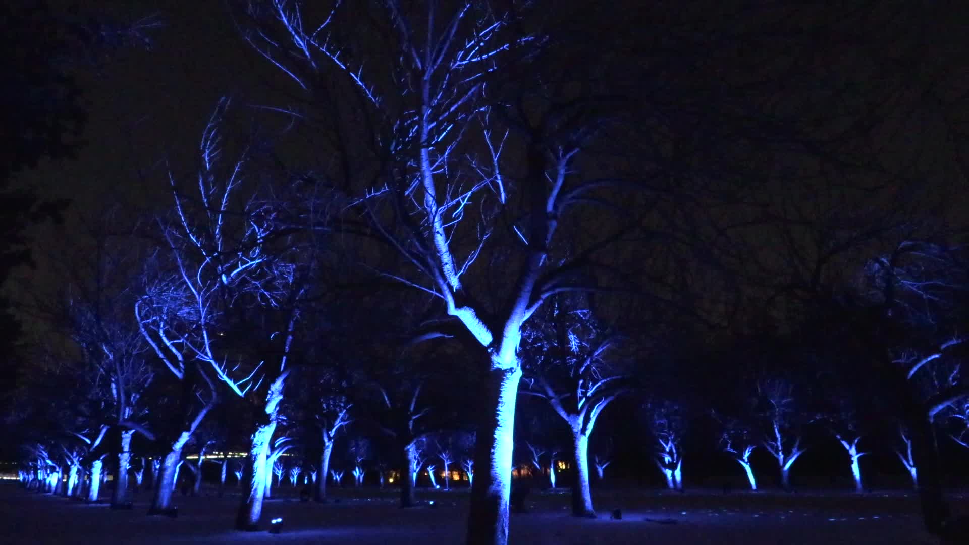 NYC: Brooklyn Botanical Garden Lightscape Show
