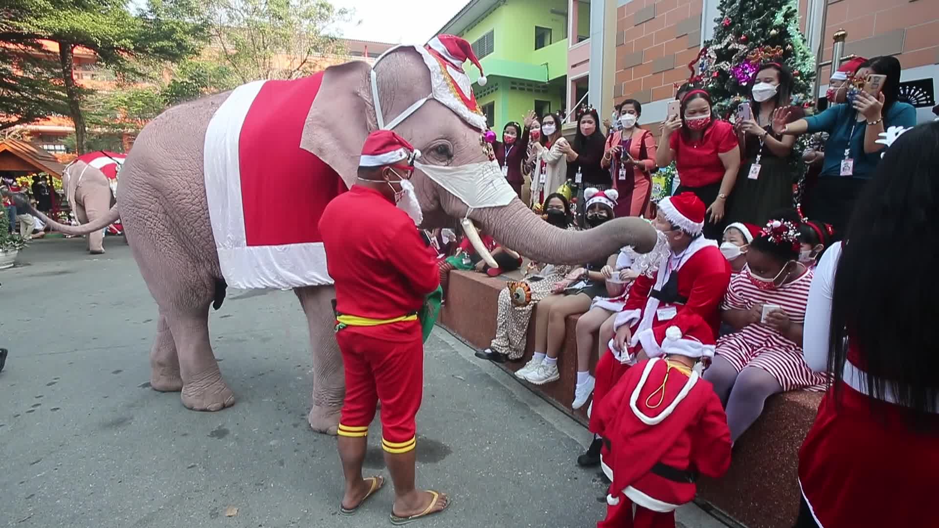 Christmas Season in Bangkok, Thailand
