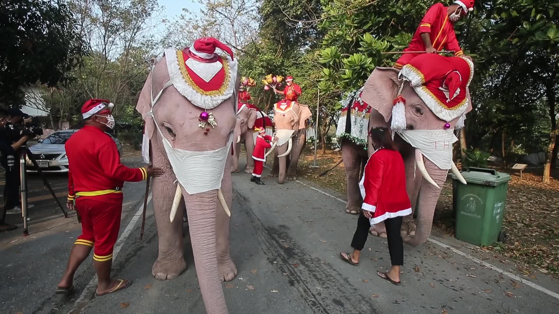 Christmas Season in Bangkok, Thailand
