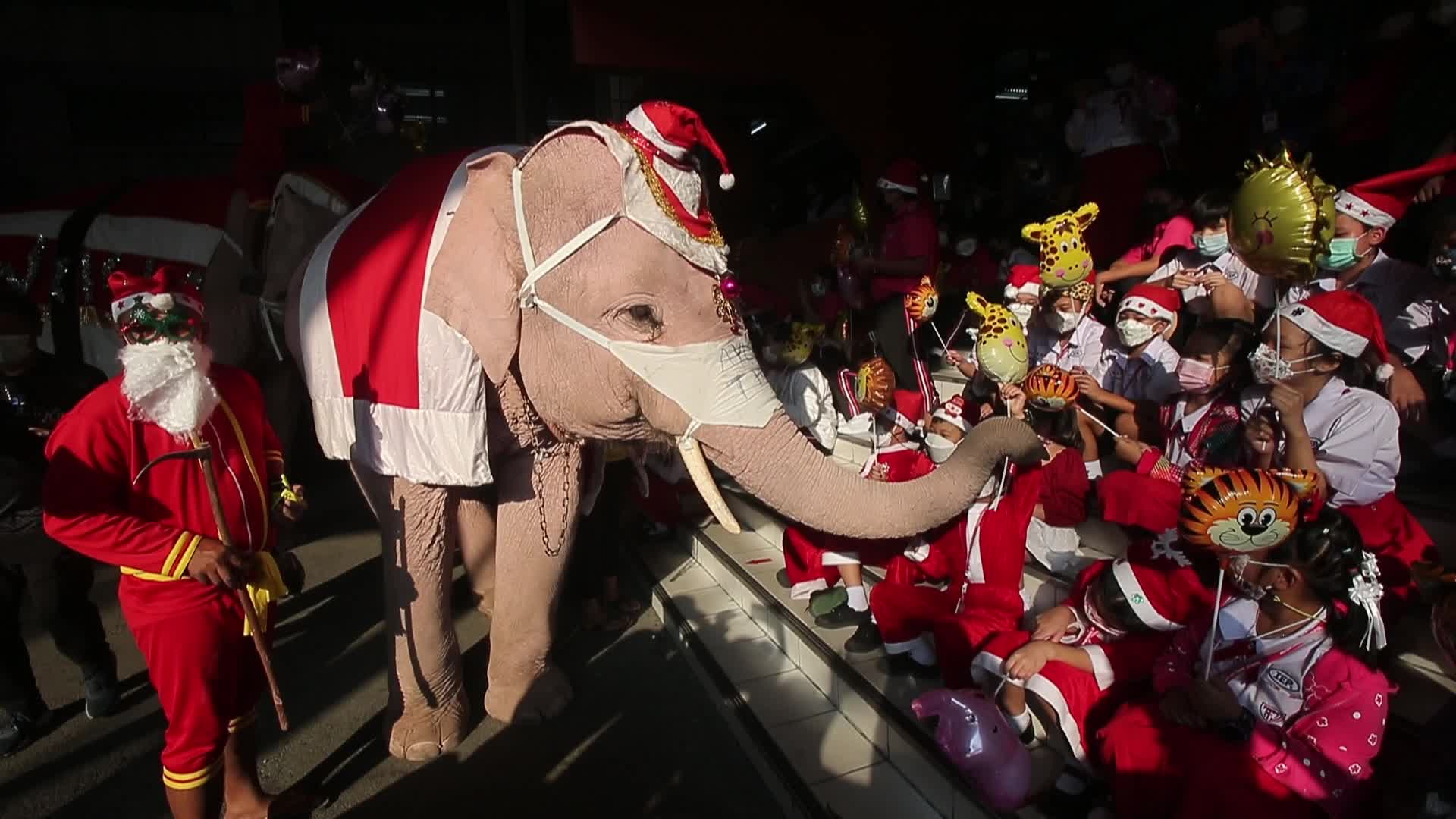 Christmas Season in Bangkok, Thailand