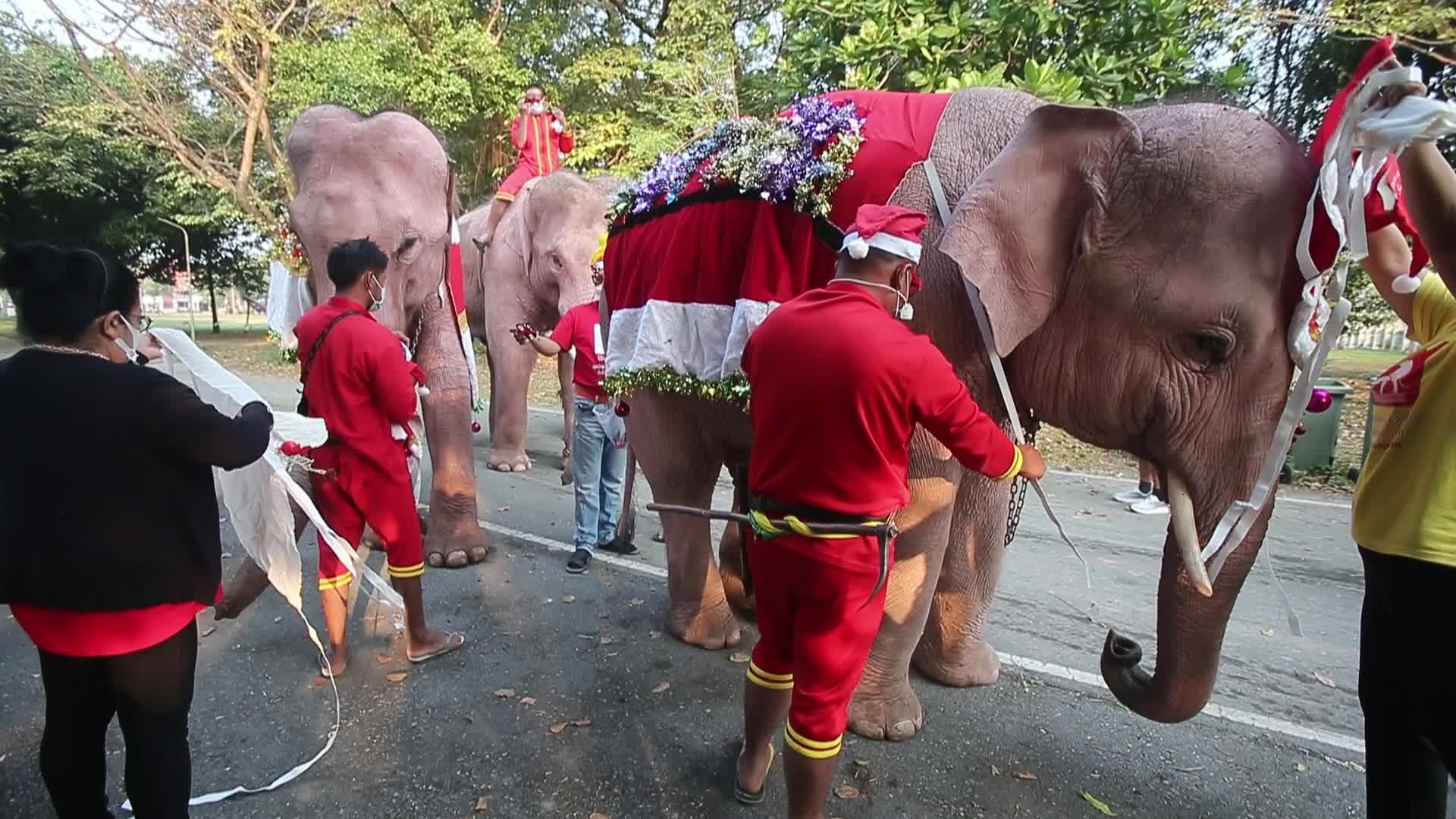 Christmas Season in Bangkok, Thailand