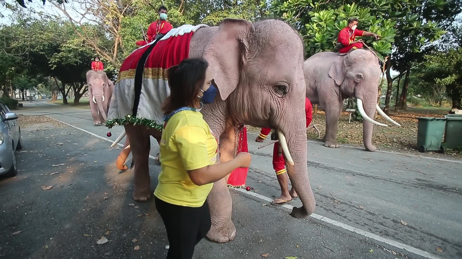 Christmas Season in Bangkok, Thailand