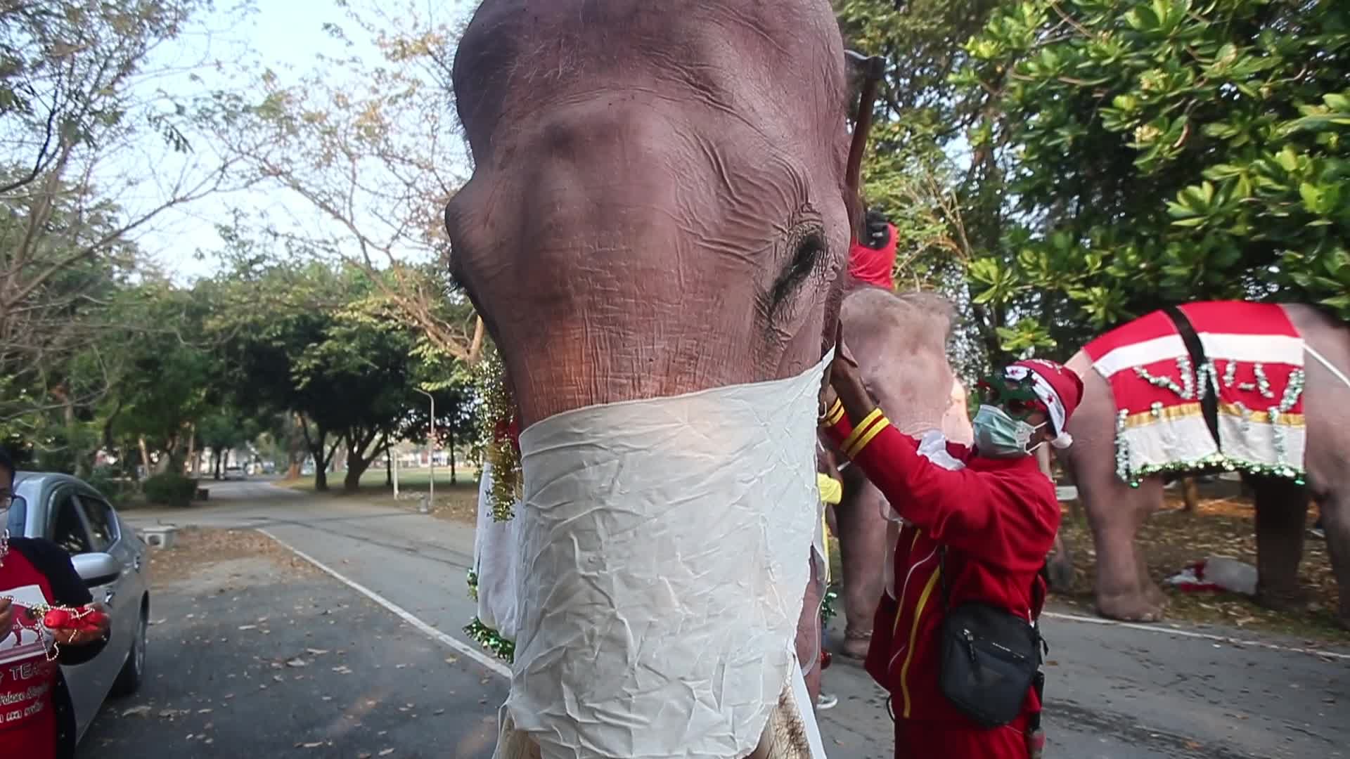 Christmas Season in Bangkok, Thailand