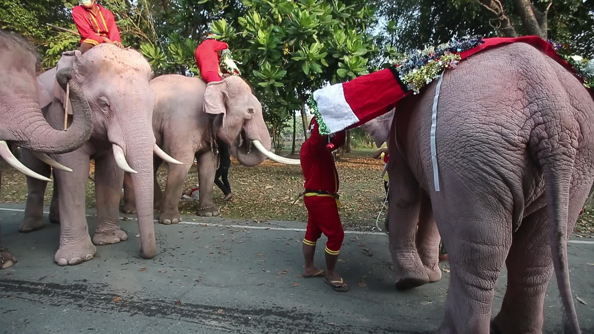 Christmas Season in Bangkok, Thailand