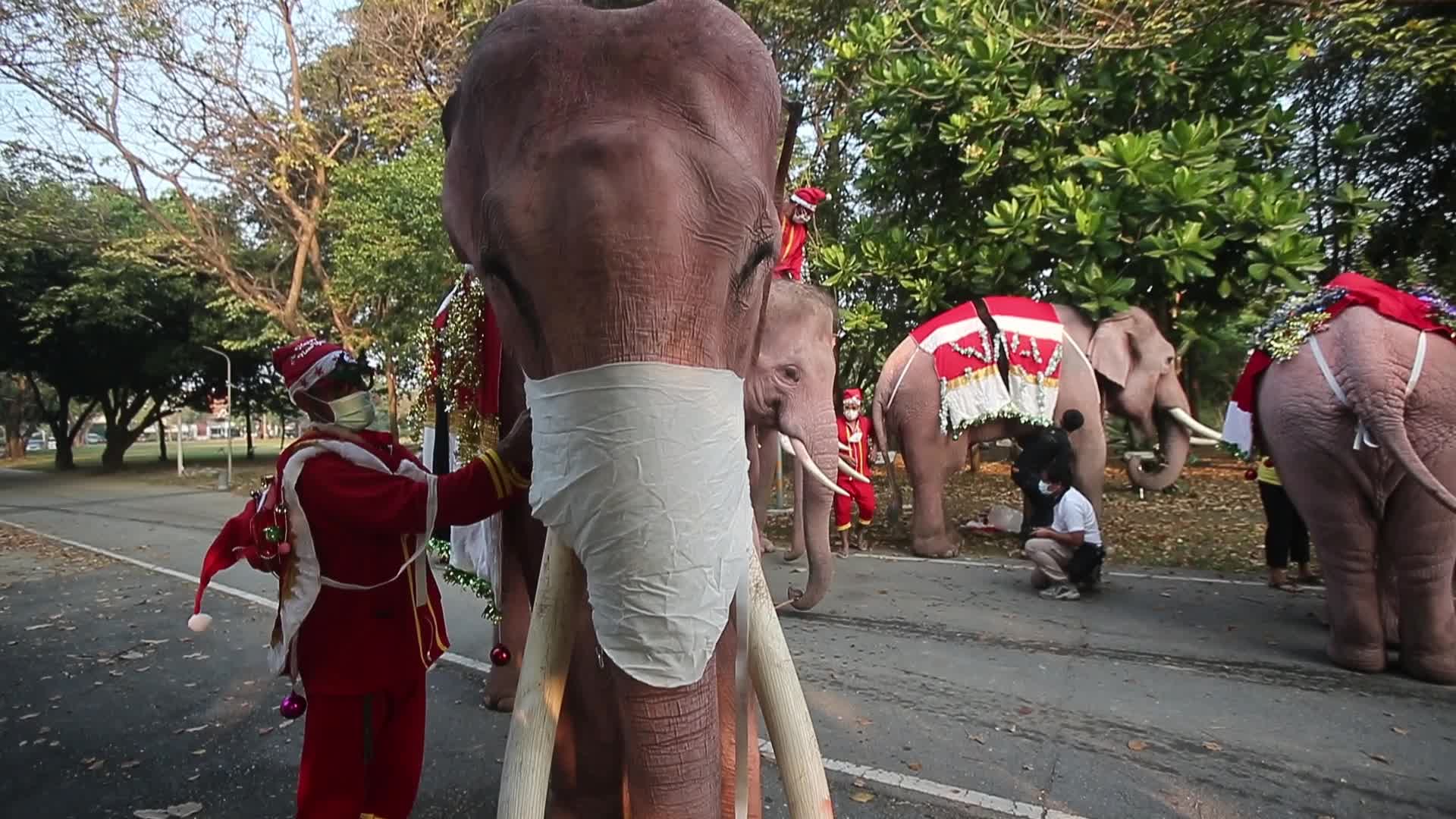 Christmas Season in Bangkok, Thailand
