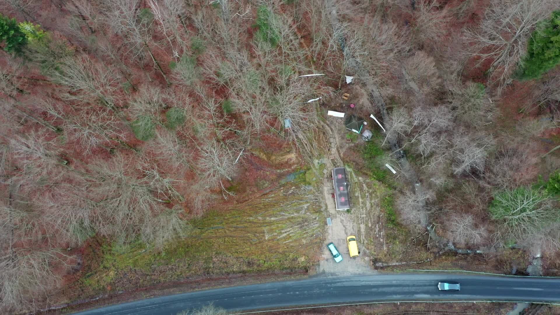 Ninth month of occupational protest against deforestation in east Poland
