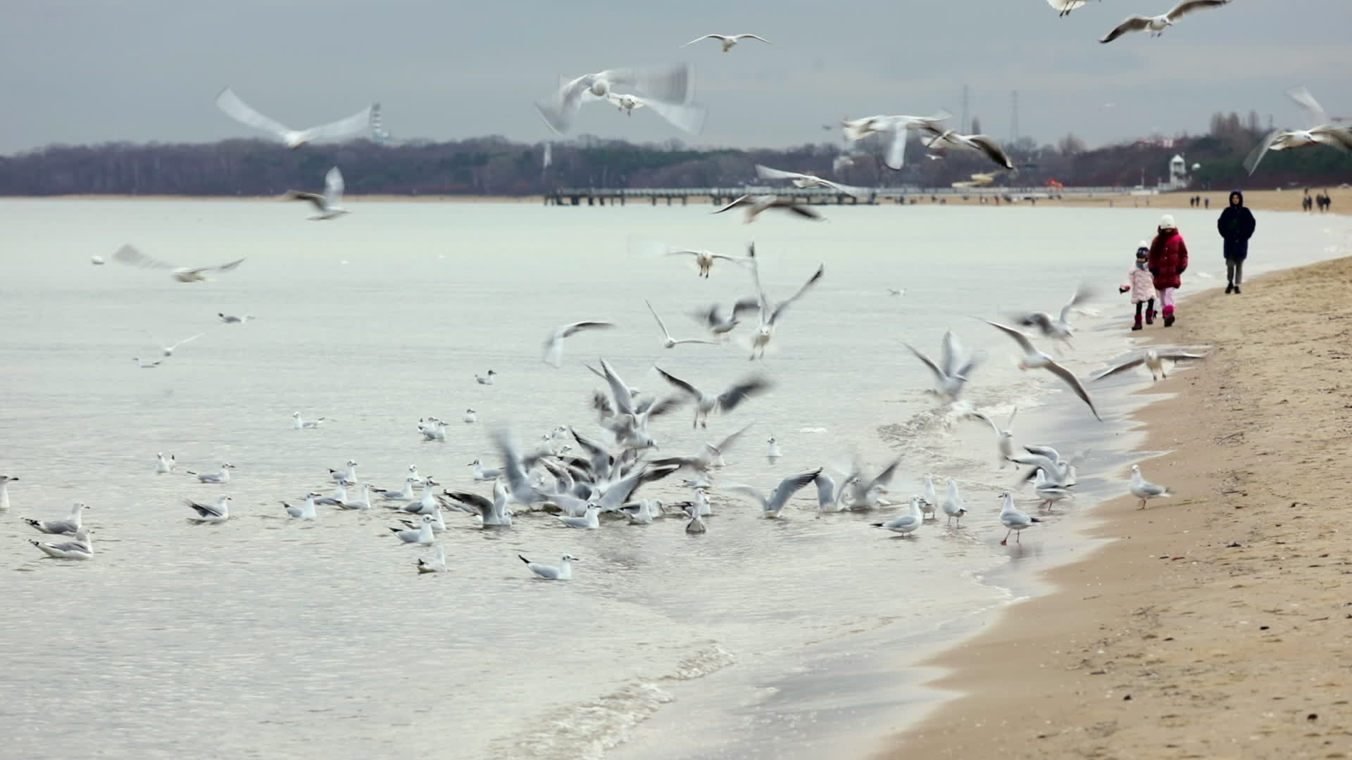 Baltic Beach Gdansk