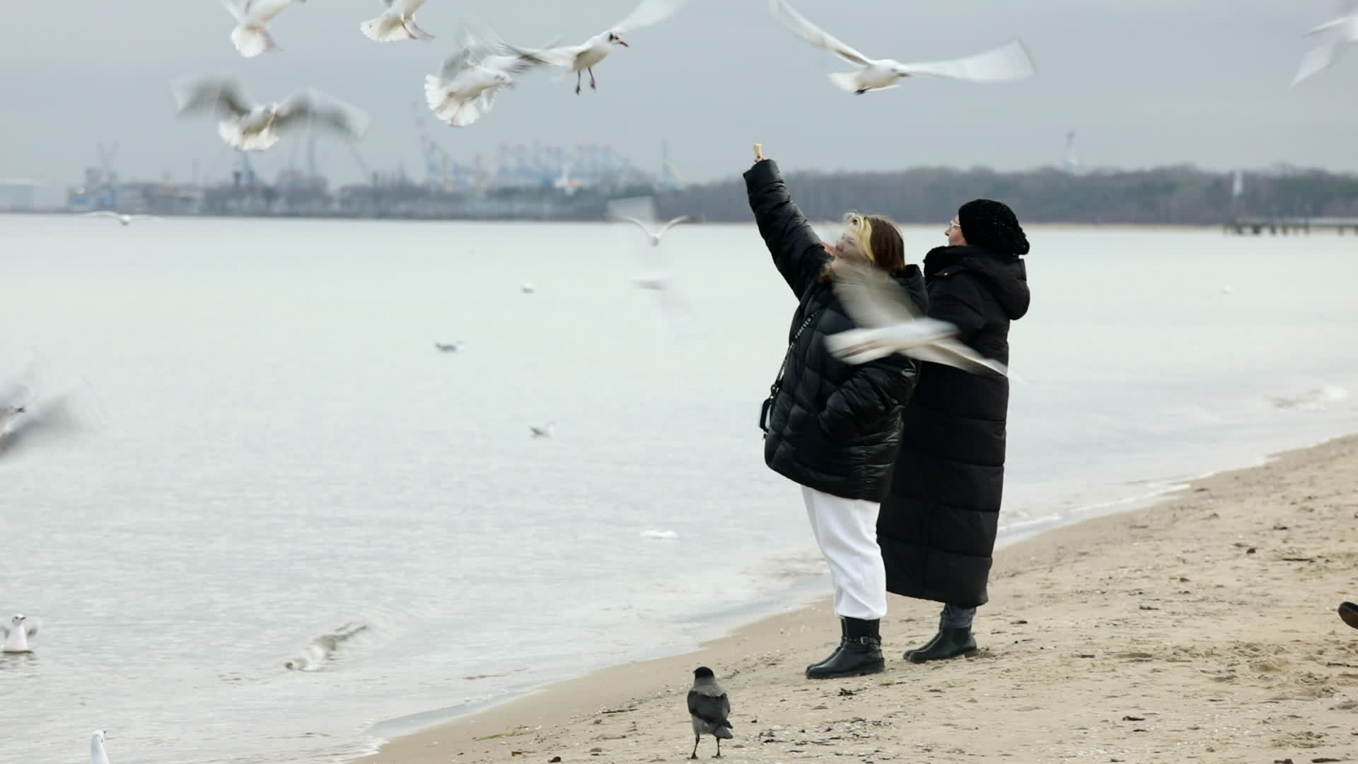 Baltic Beach Gdansk
