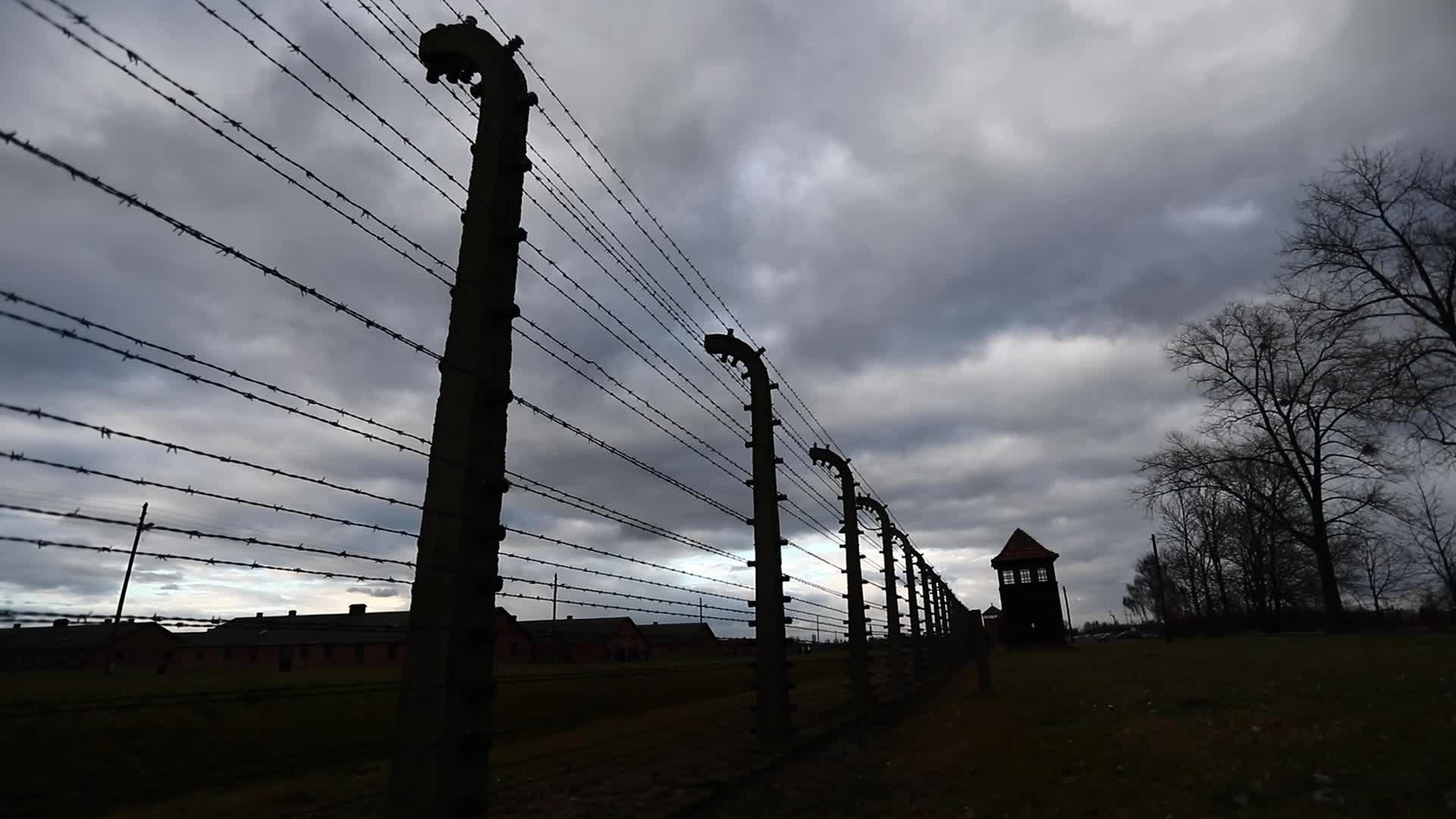 Auschwitz II-Birkenau Concentration Camp