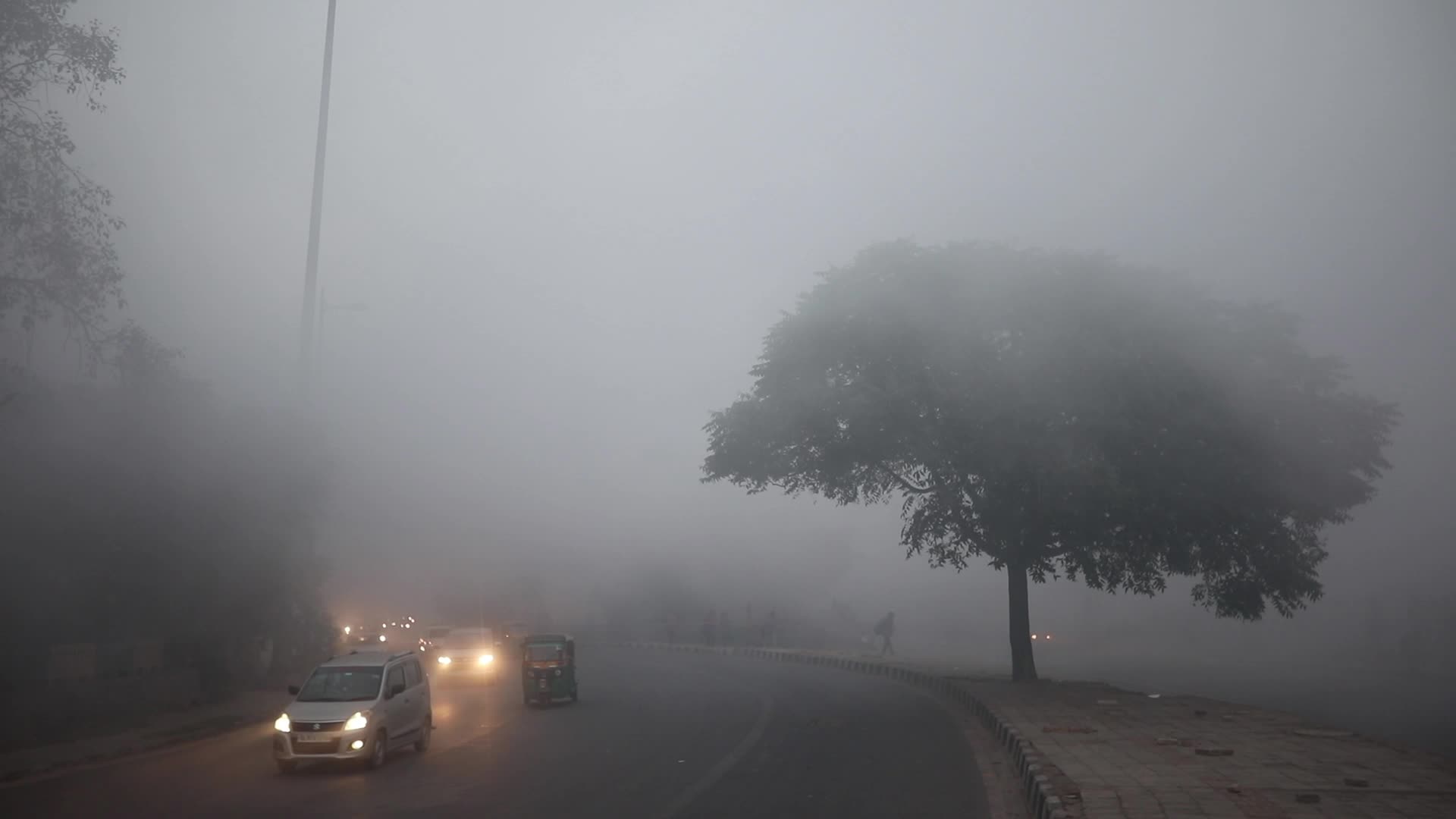 Foggy day in Delhi, India