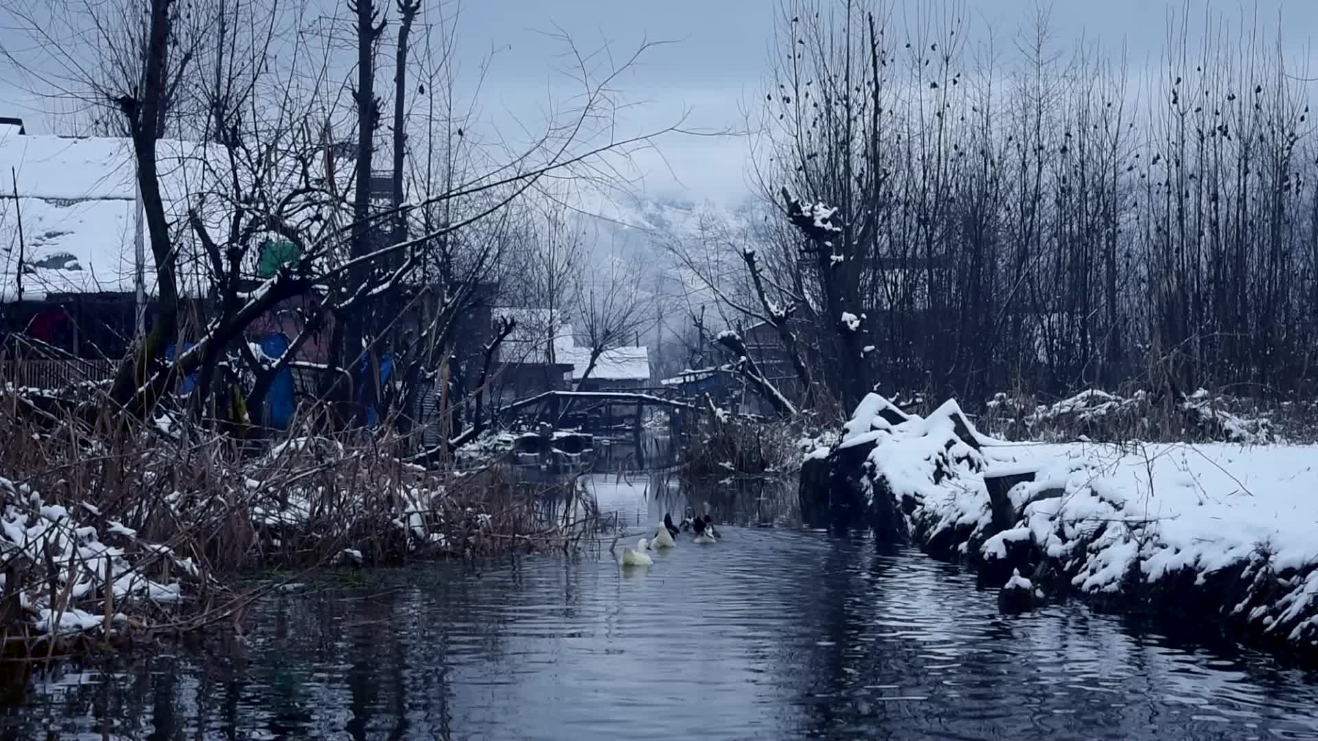 Season's First snowfall in Srinagar, Indian Administered Kashmir