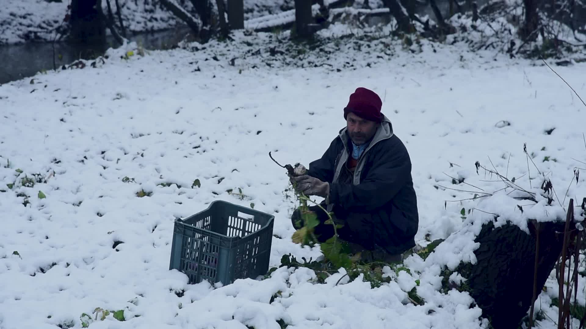 Season's First snowfall in Srinagar, Indian Administered Kashmir