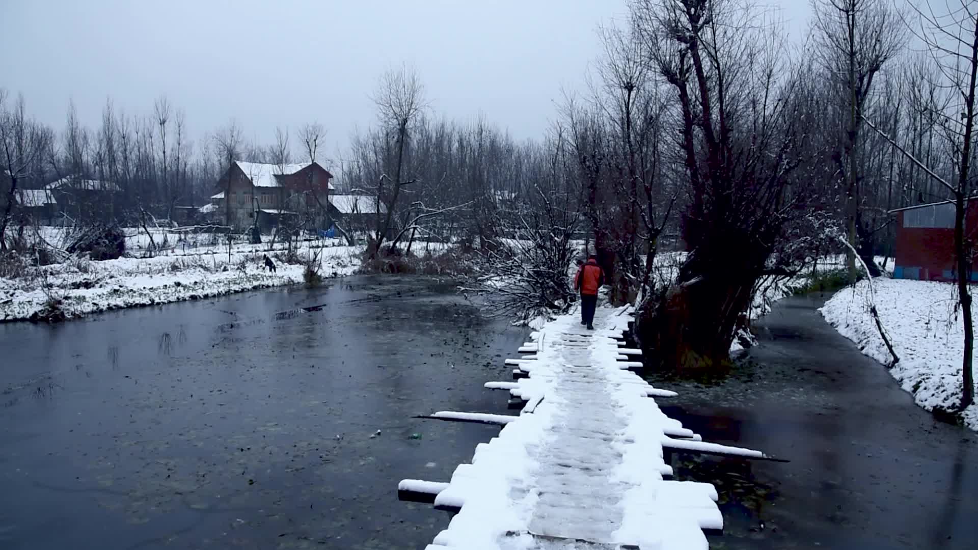 Season's First snowfall in Srinagar, Indian Administered Kashmir
