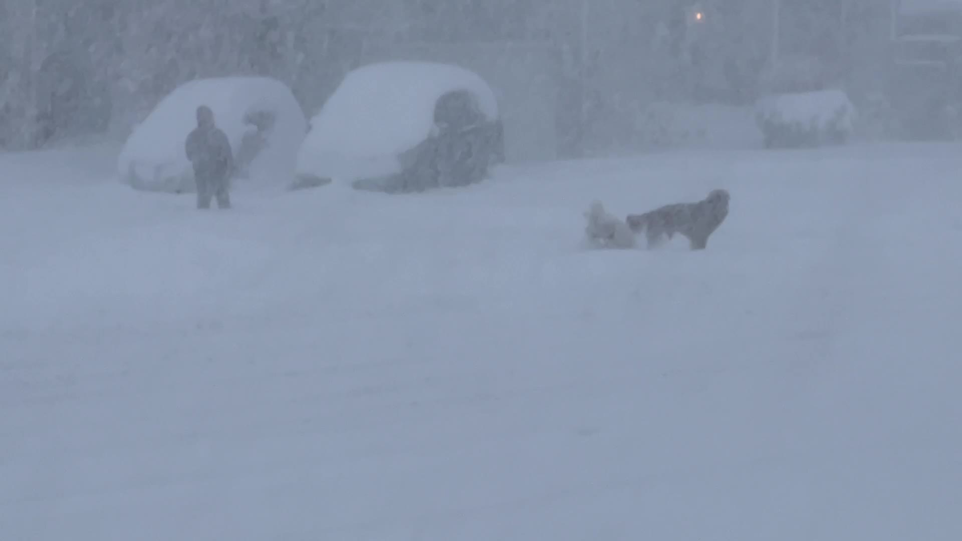 Toronto gets hit by historic massive winter snowstorm
