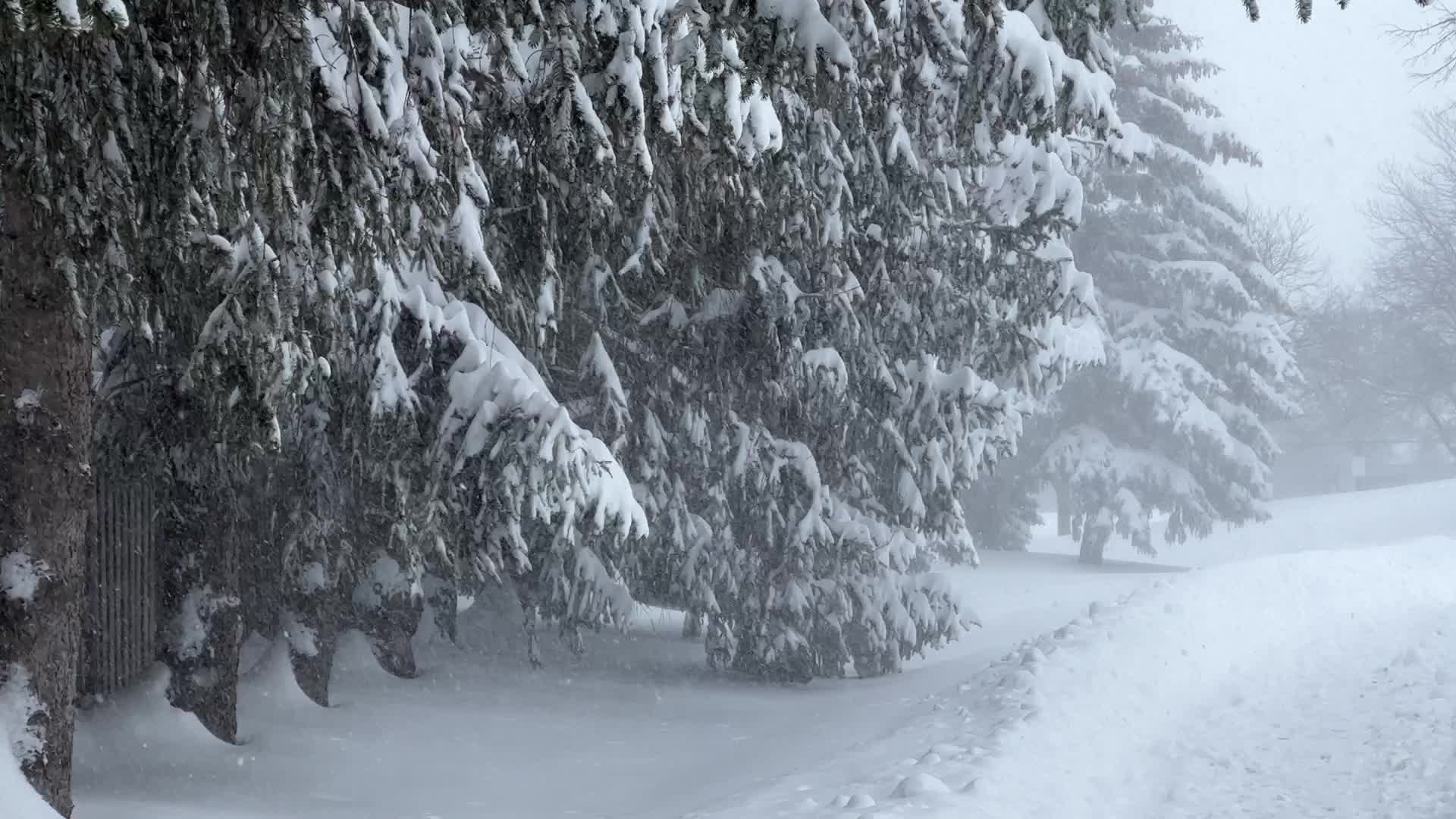 Toronto gets hit by historic massive winter snowstorm