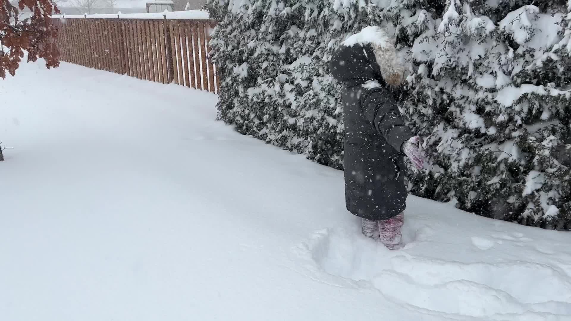 Toronto gets hit by historic massive winter snowstorm
