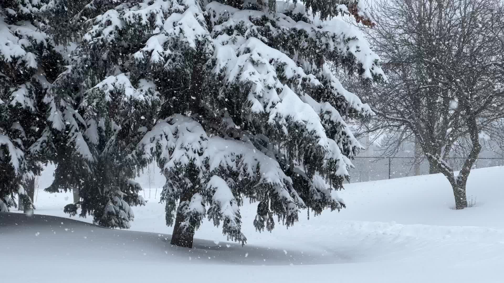 Toronto gets hit by historic massive winter snowstorm