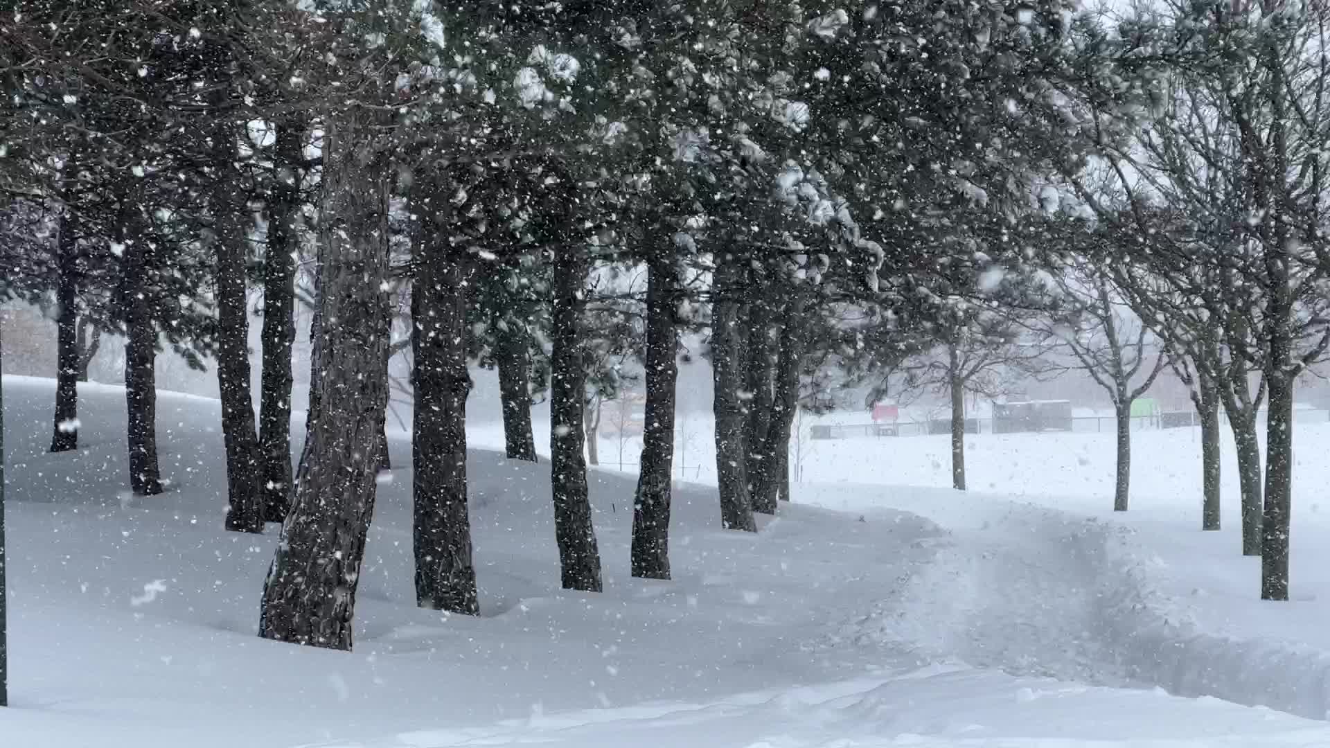 Toronto gets hit by historic massive winter snowstorm