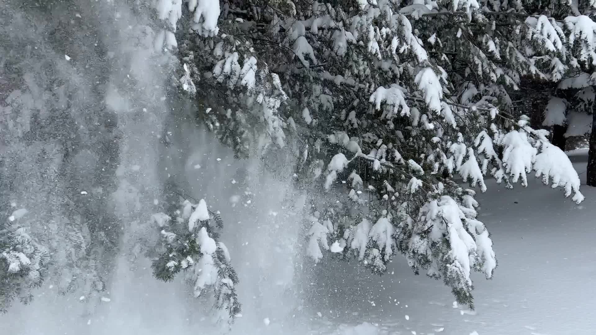 Toronto gets hit by historic massive winter snowstorm