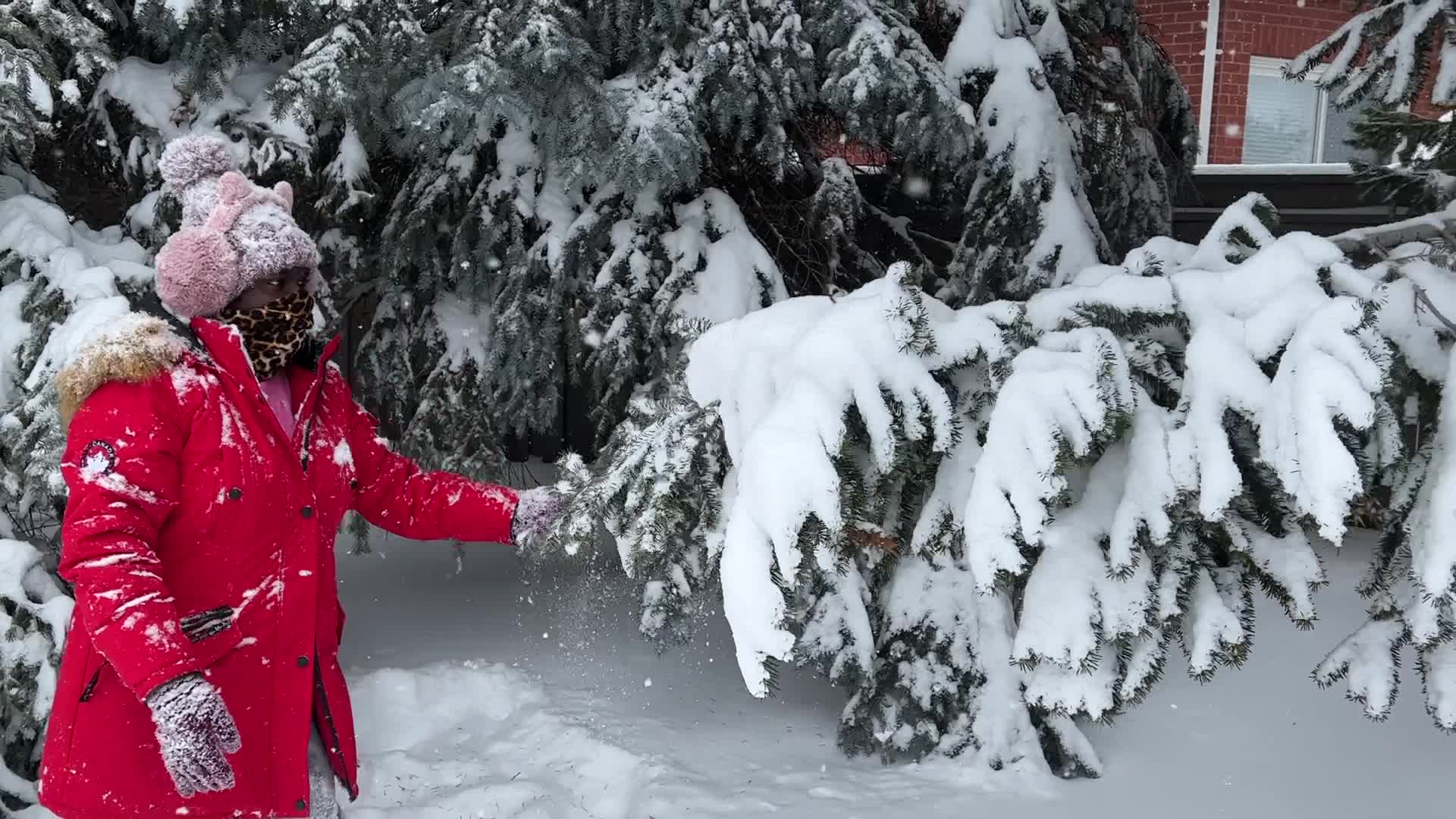 Toronto gets hit by historic massive winter snowstorm