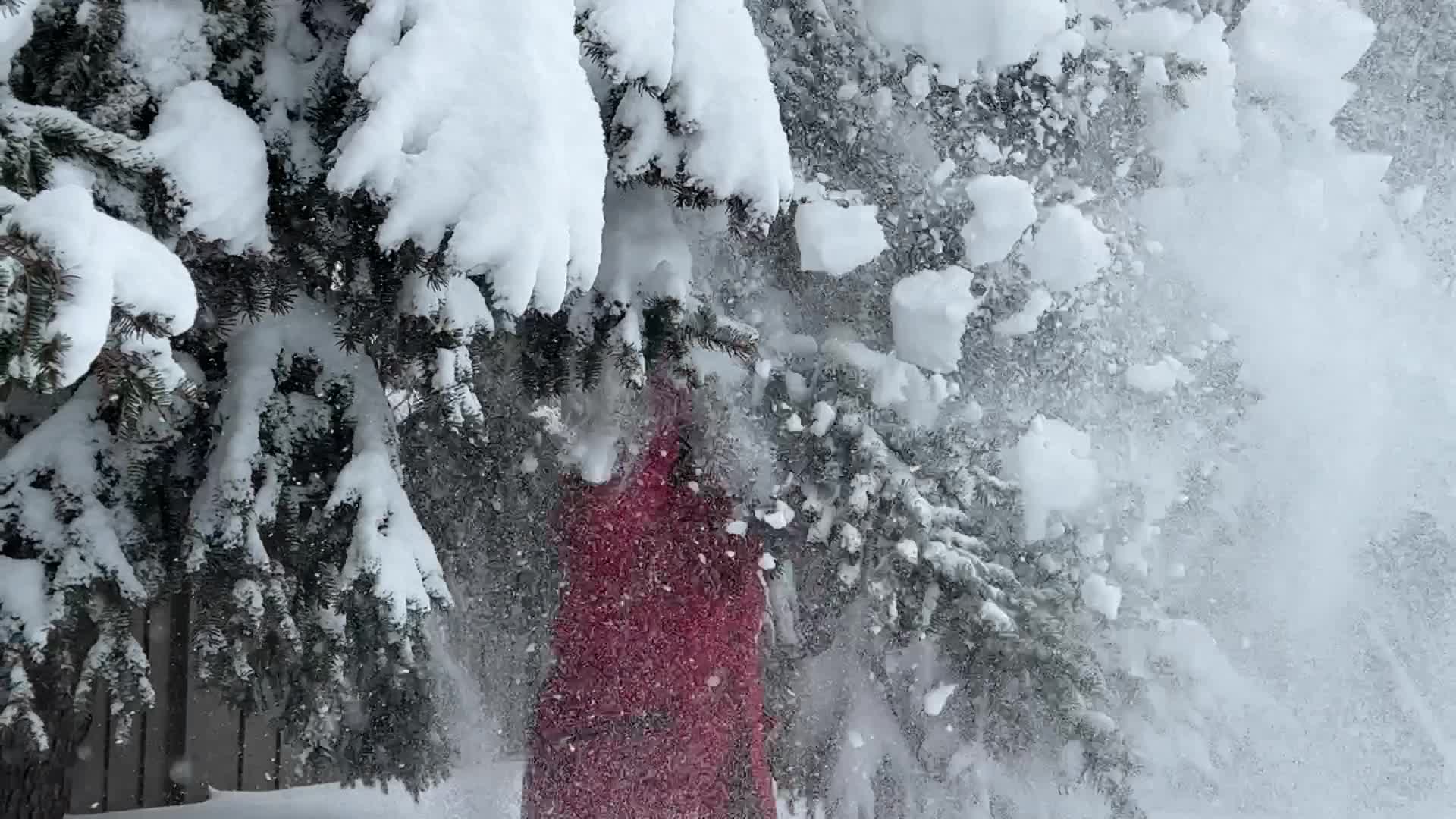 Toronto gets hit by historic massive winter snowstorm