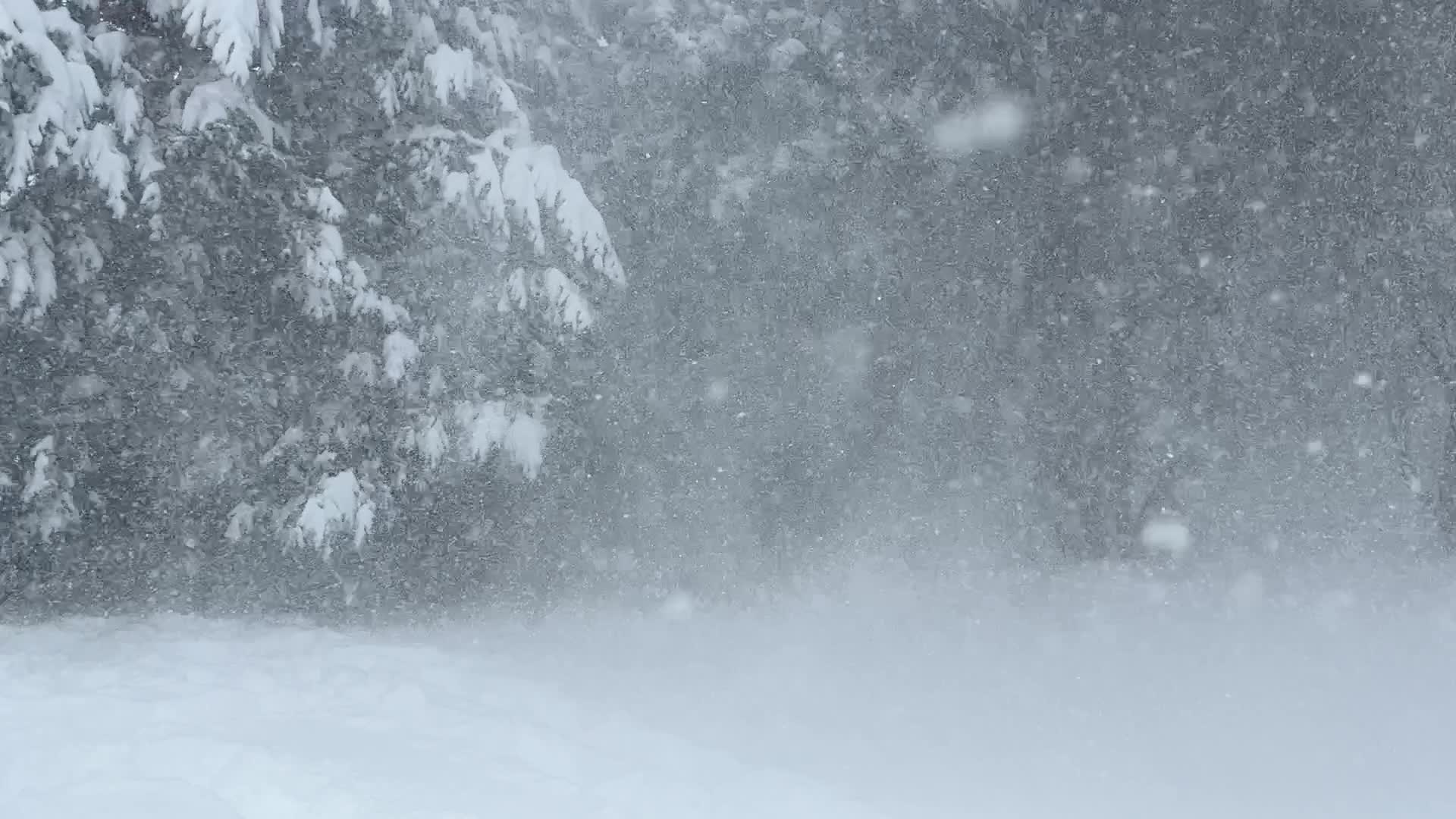 Toronto gets hit by historic massive winter snowstorm