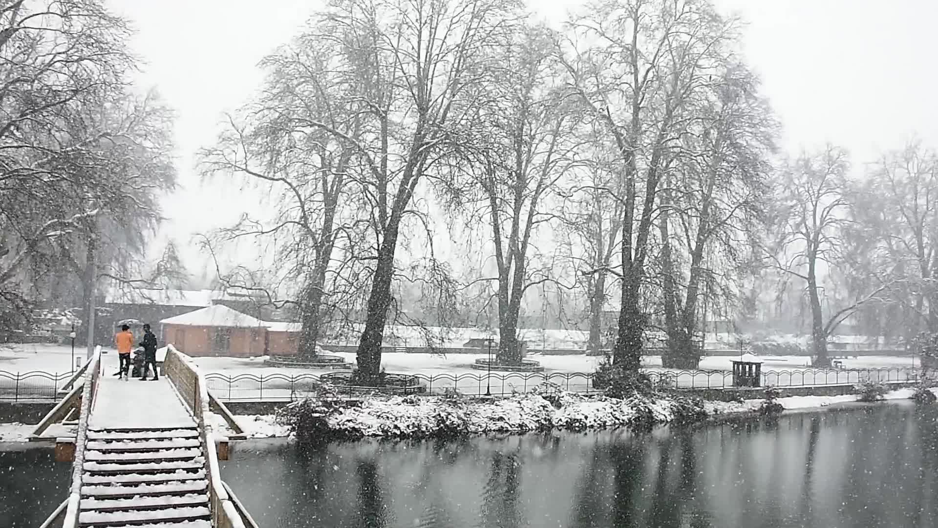 Heavy Snowfall In Kashmir