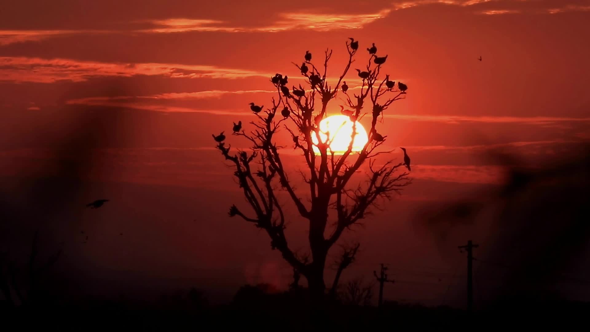 Last Sunset of 2021 in Jaipur