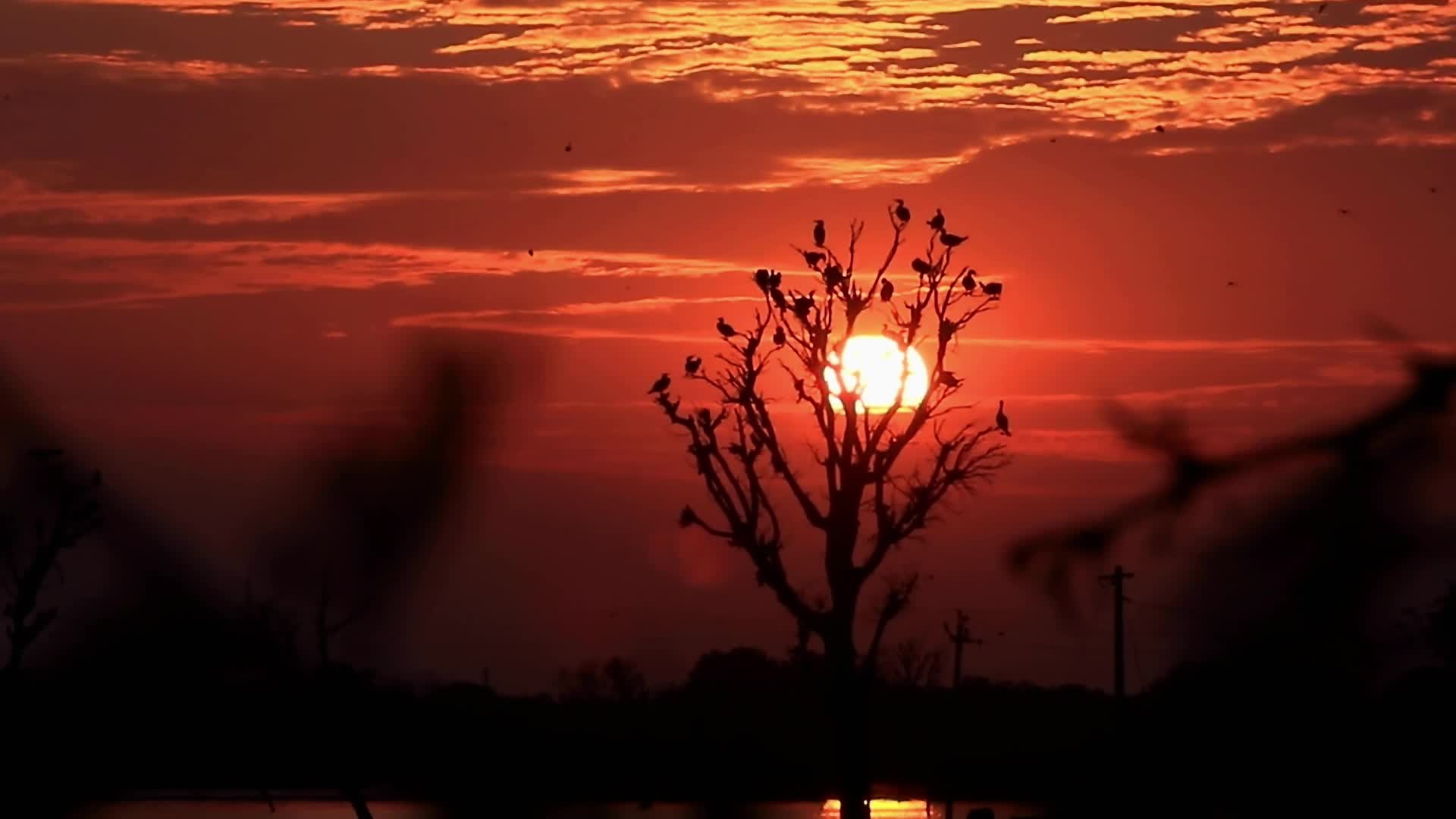 Last Sunset of 2021 in Jaipur