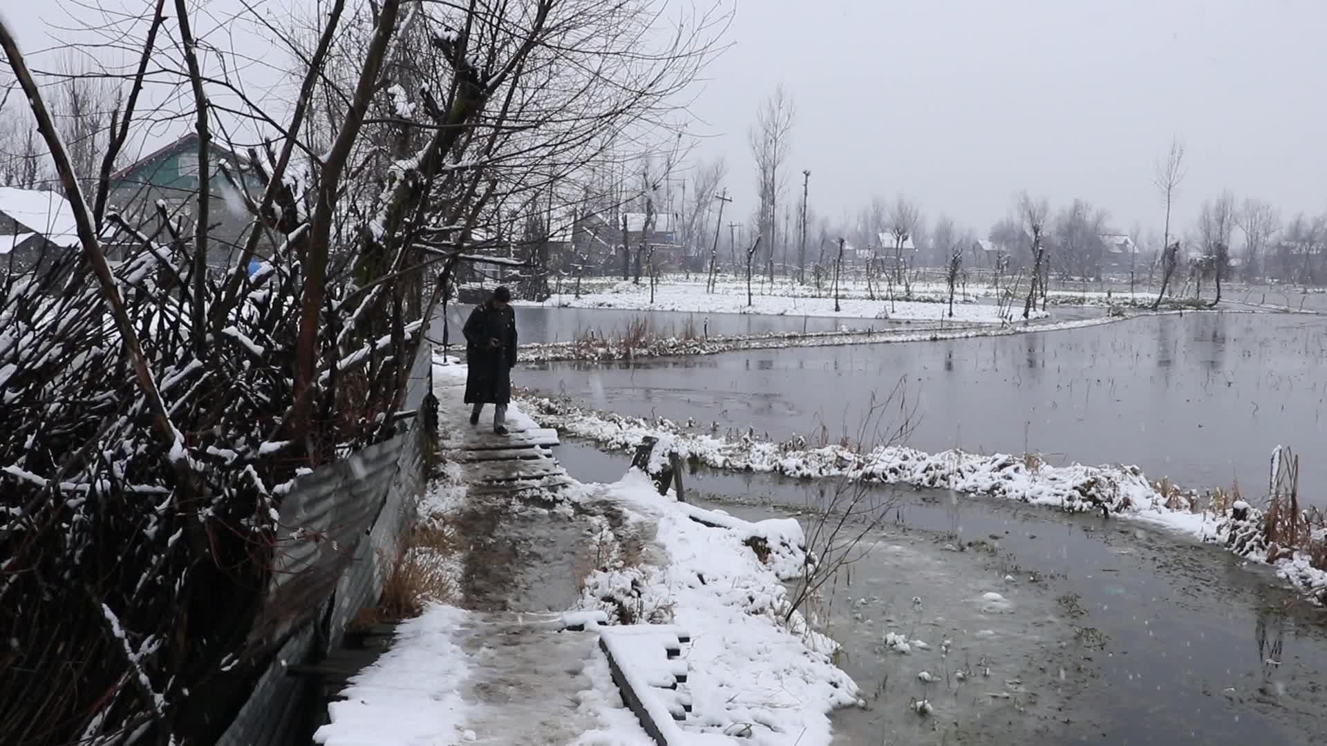 Heavy Snowfall In Kashmir
